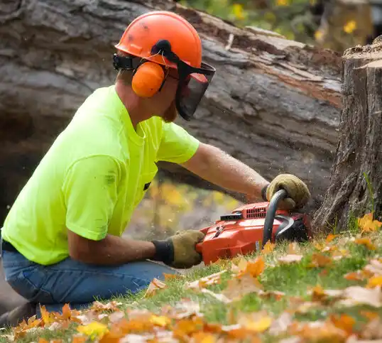 tree services Clarkton